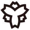 Unknown Team